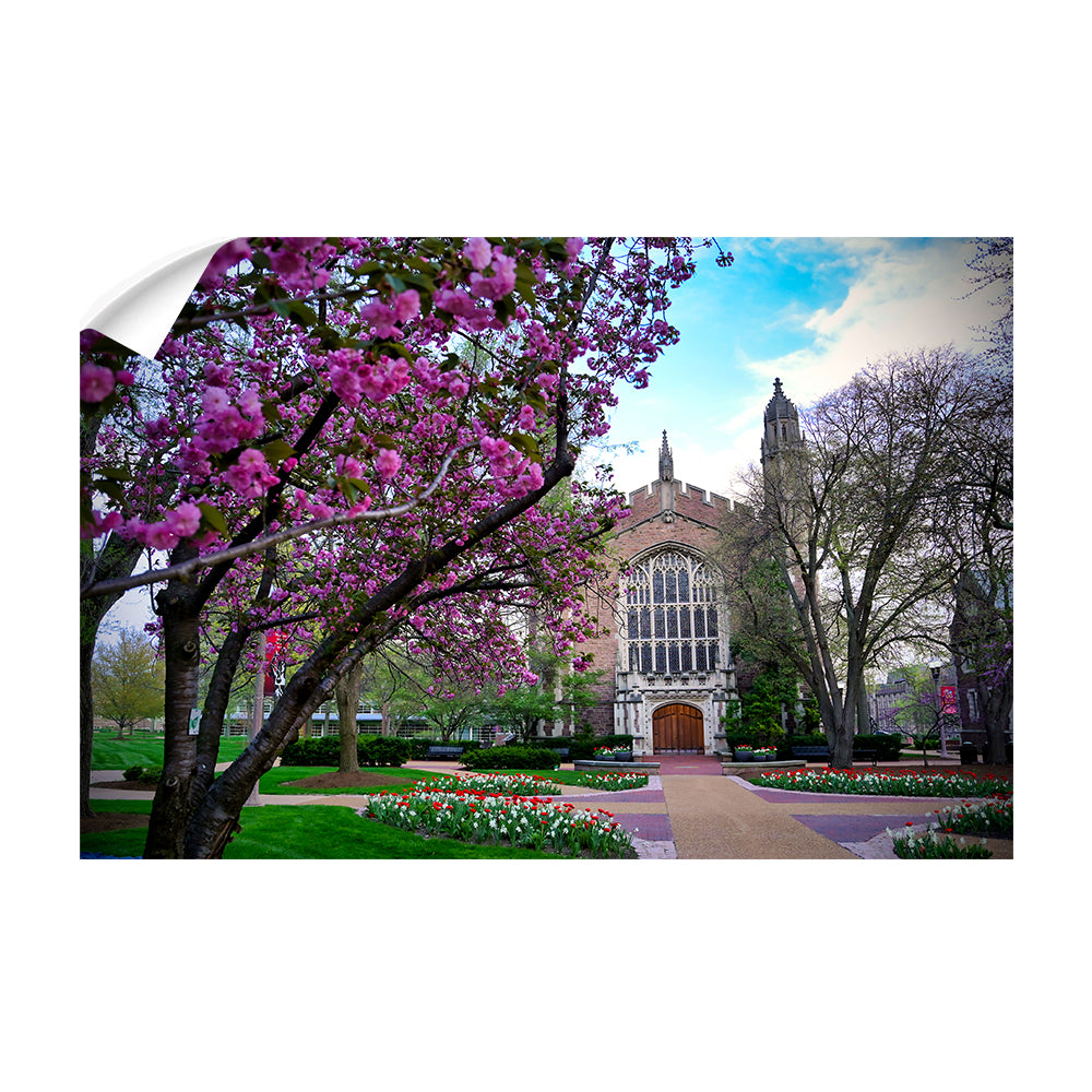Washington University Bears - Cherry Blossoms - College Wall Art #Canvas