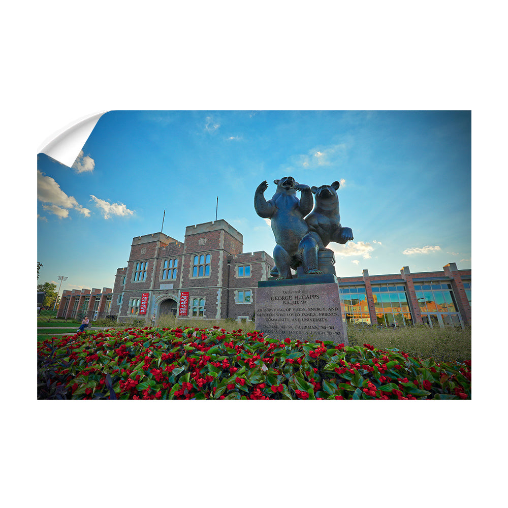 Washington University Bears - Summers Rec - College Wall Art #Canvas