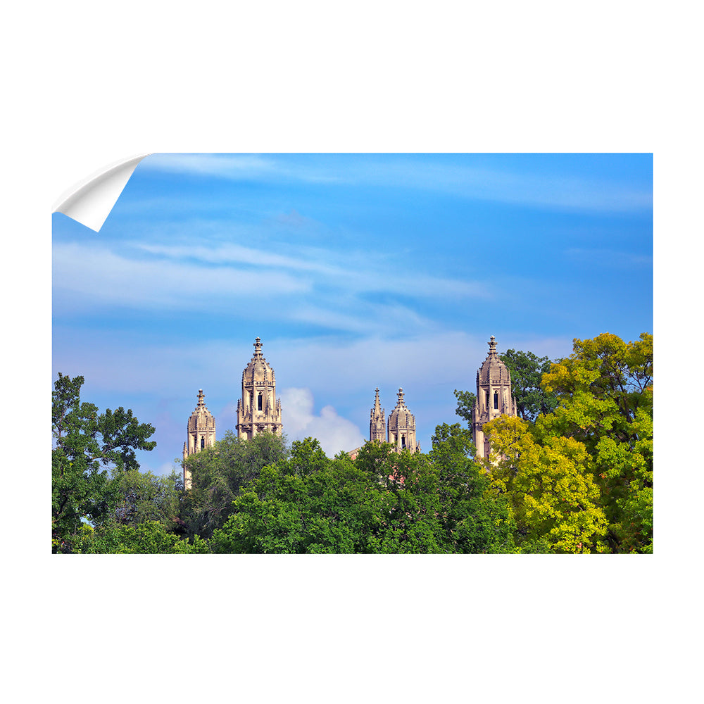 Washington University Bears - The Skyline - College Wall Art #Canvas