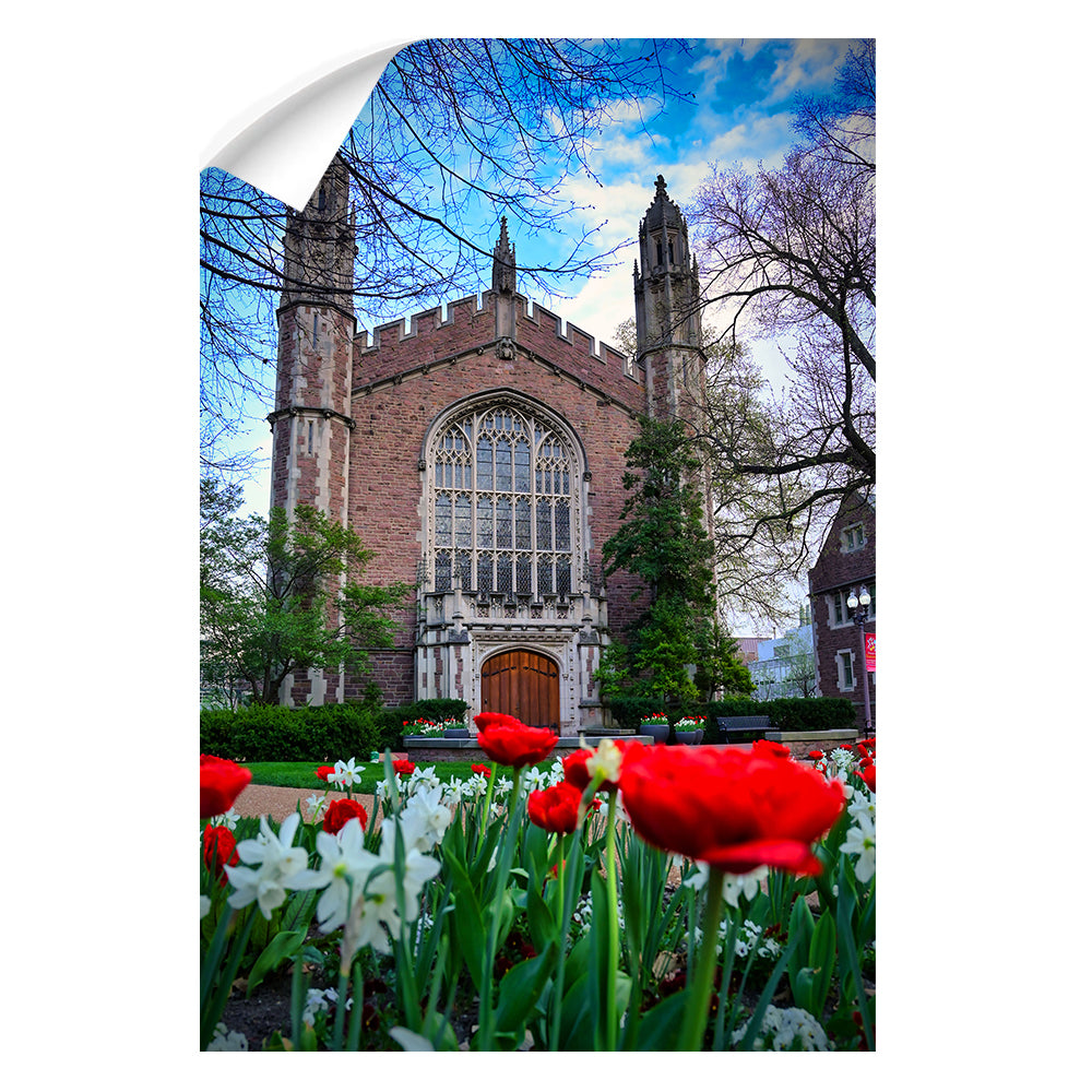 Washington University Bears - Tulips - College Wall Art #Canvas