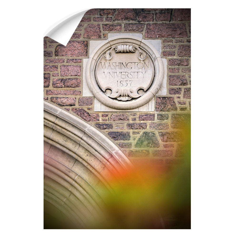 Washington University Bears - Washington University 1857 - College Wall Art #Canvas