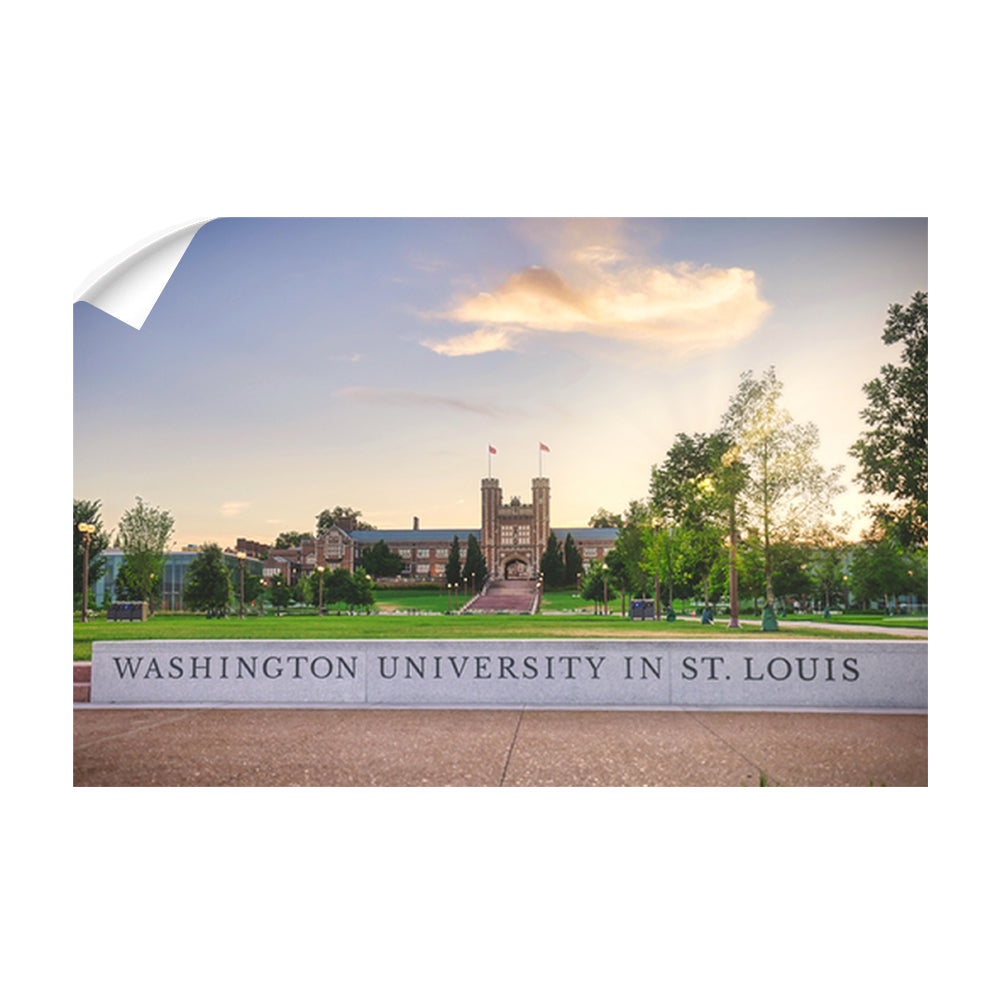 Washington University Bears - Washington University in St. Louis - College Wall Art #Canvas