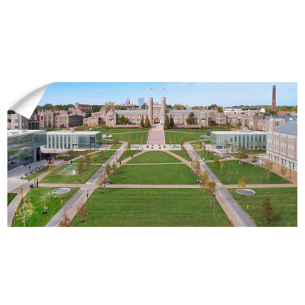 Washington University Bears - Washington U Aerial Panoramic - College Wall Art #Canvas