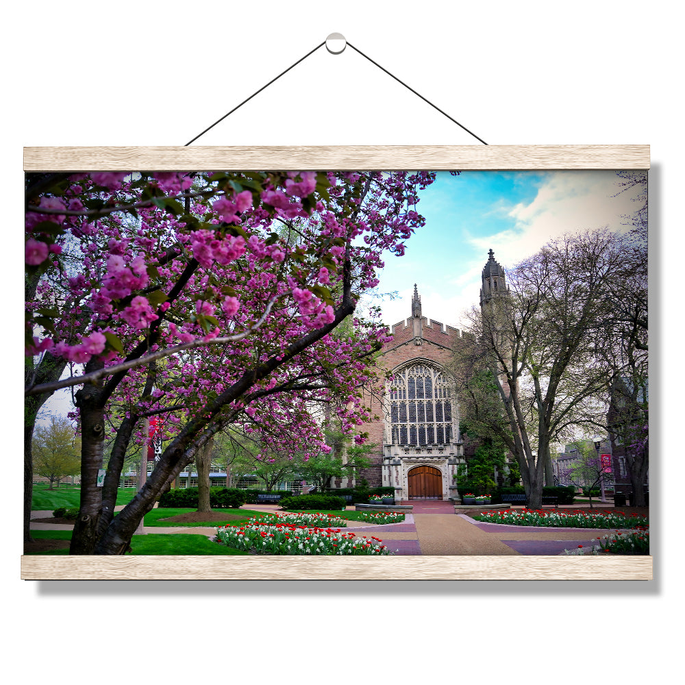 Washington University Bears - Cherry Blossoms - College Wall Art #Canvas