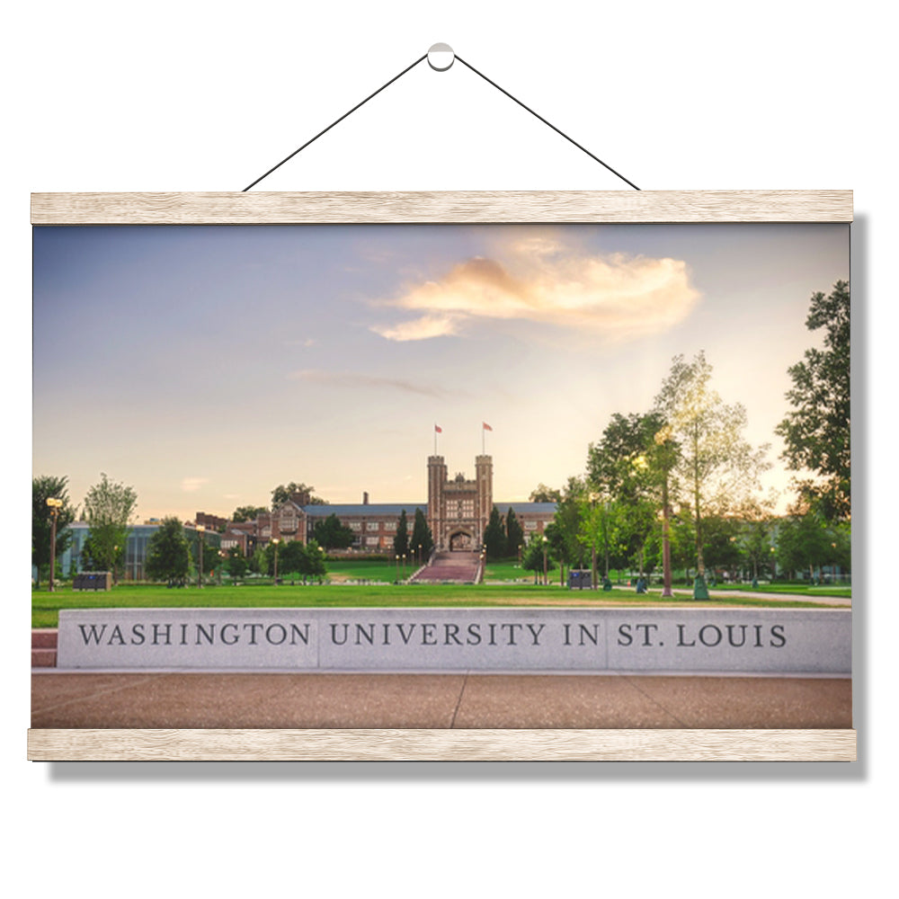 Washington University Bears - Washington University in St. Louis - College Wall Art #Canvas