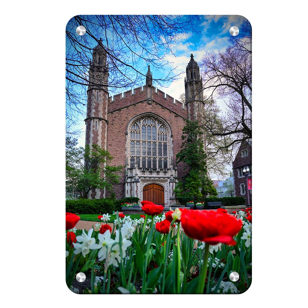 Washington University Bears - Tulips - College Wall Art #Canvas