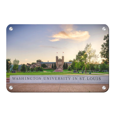 Washington University Bears - Washington University in St. Louis - College Wall Art #Metal