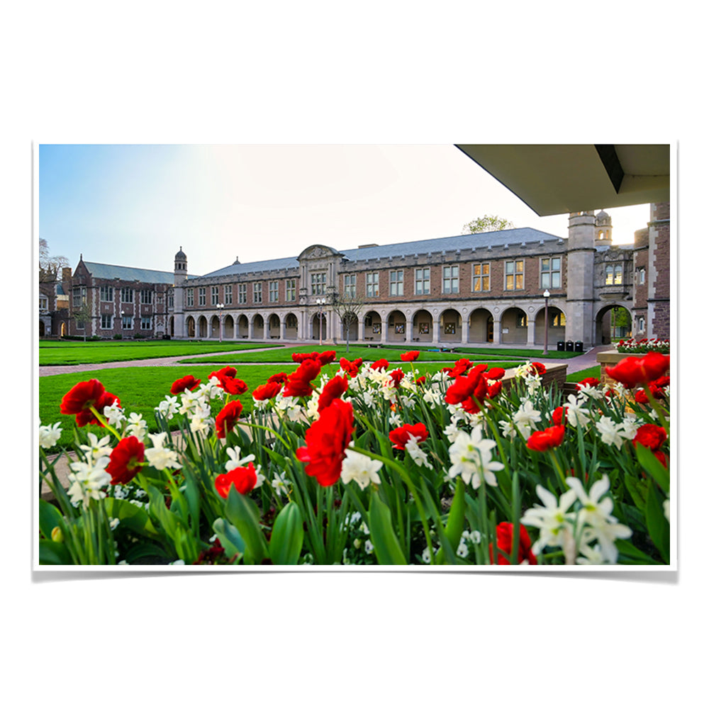 Washington University Bears - Spring Campus - College Wall Art #Canvas