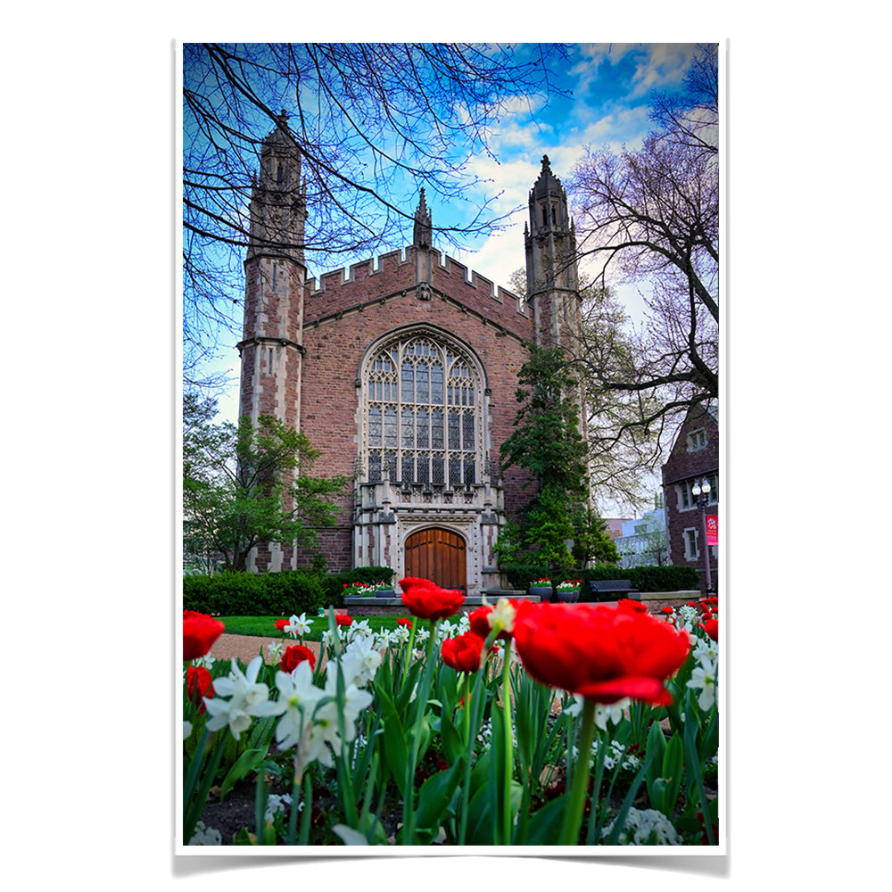 Washington University Bears - Tulips - College Wall Art #Canvas