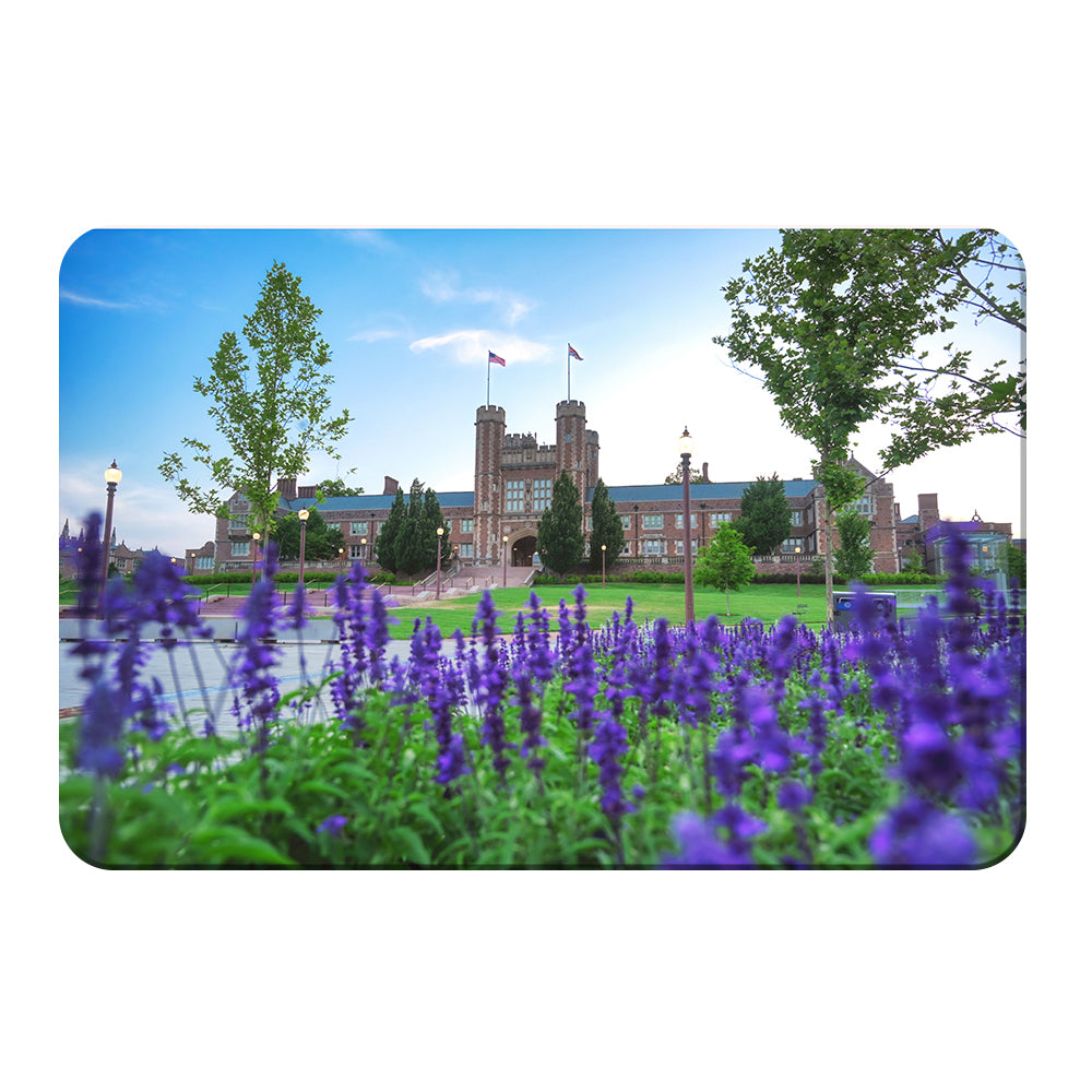 Washington University Bears - CEFU - College Wall Art #Canvas