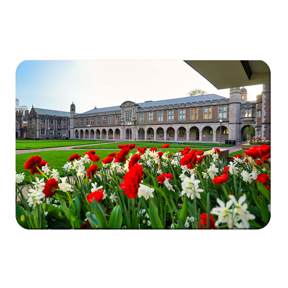 Washington University Bears - Spring Campus - College Wall Art #Canvas