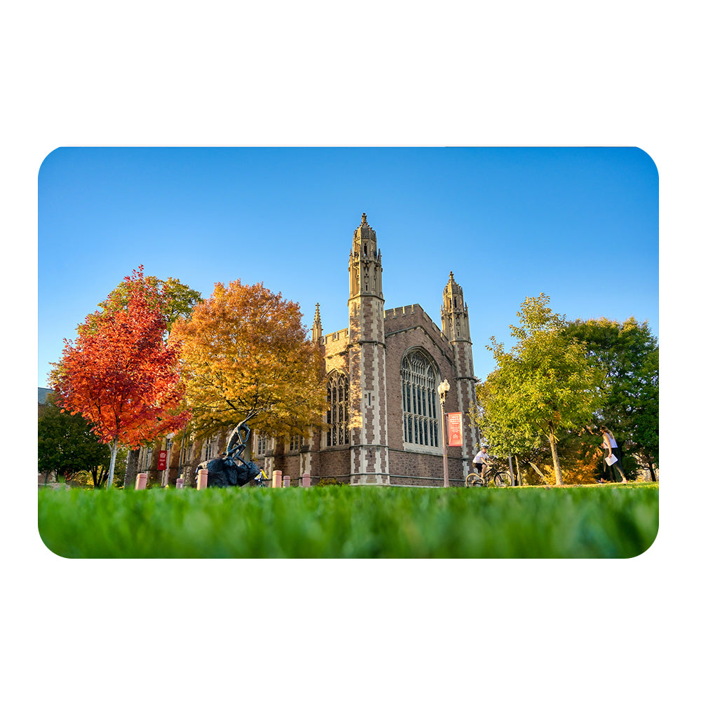 Washington University Bears - Autumn - College Wall Art #Canvas