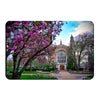 Washington University Bears - Cherry Blossoms - College Wall Art #PVC
