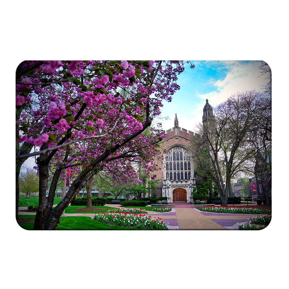 Washington University Bears - Cherry Blossoms - College Wall Art #Canvas