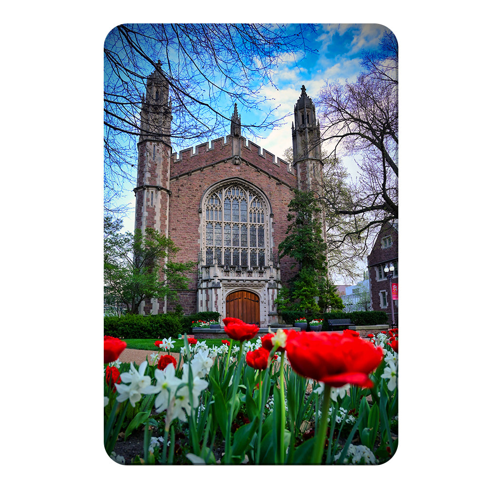 Washington University Bears - Tulips - College Wall Art #Canvas