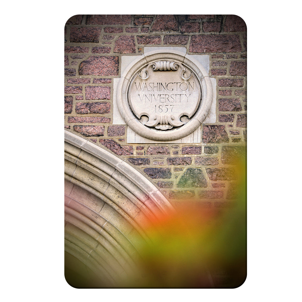 Washington University Bears - Washington University 1857 - College Wall Art #Canvas