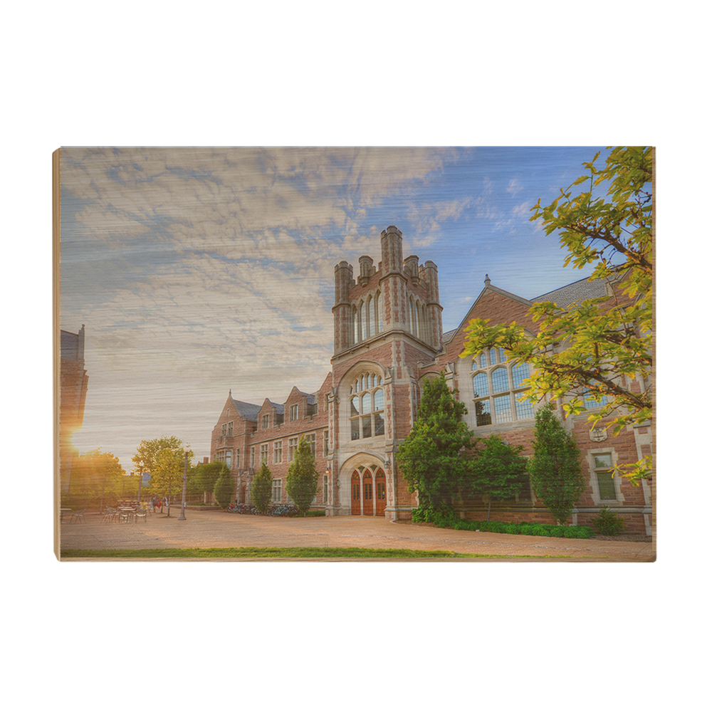 Washington University Bears - Anheuser Busch Hall - College Wall Art #Canvas