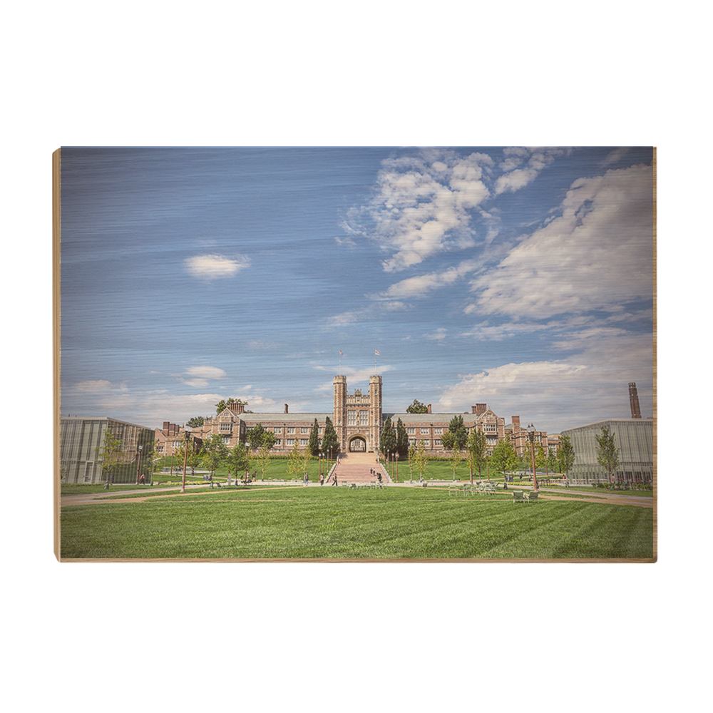 Washington University Bears - Campus - College Wall Art #Canvas
