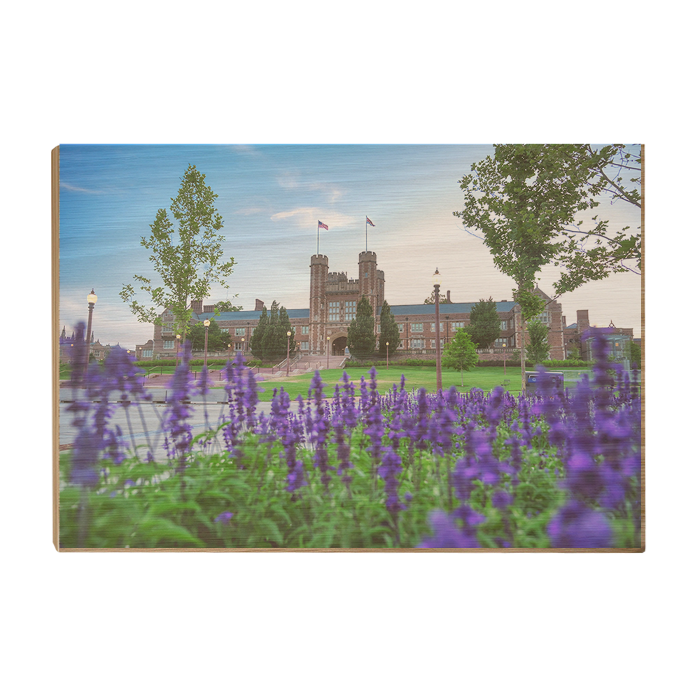 Washington University Bears - CEFU - College Wall Art #Canvas