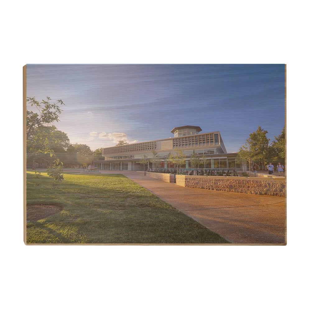 Washington University Bears - Olin Library - College Wall Art #Canvas