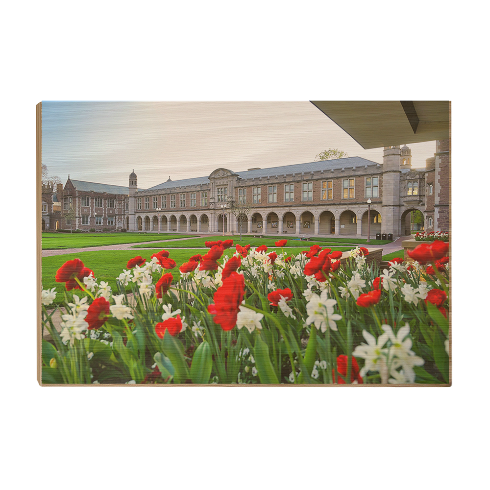 Washington University Bears - Spring Campus - College Wall Art #Canvas