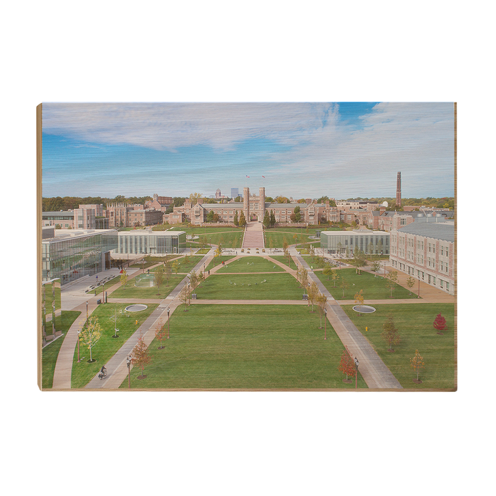 Washington University Bears - Campus Aerial - College Wall Art #Canvas