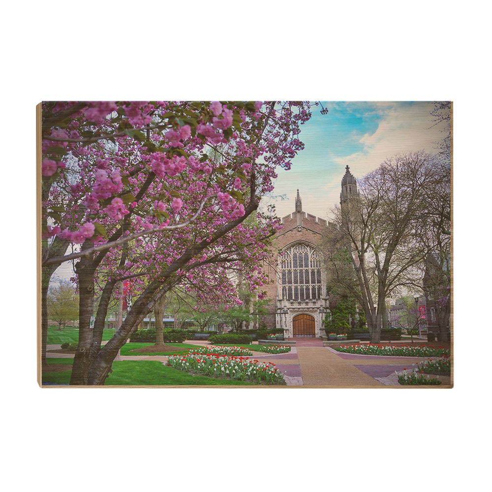 Washington University Bears - Cherry Blossoms - College Wall Art #Canvas
