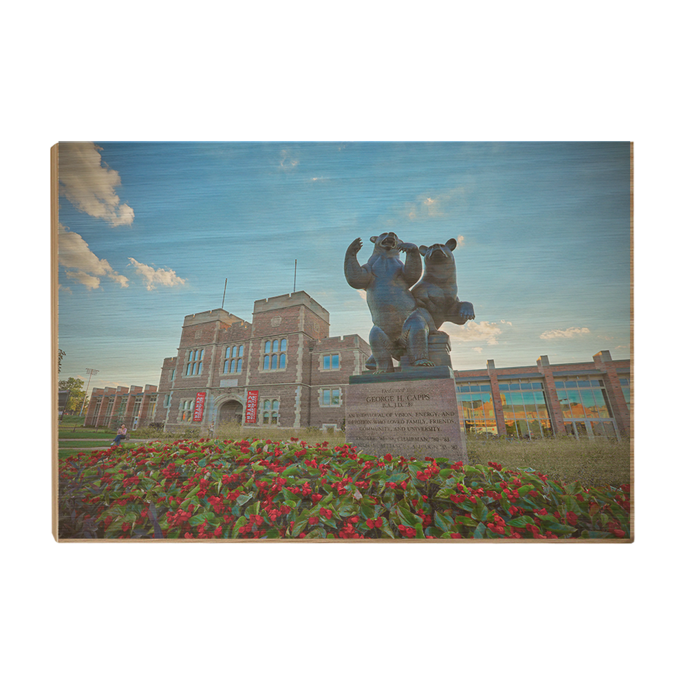 Washington University Bears - Summers Rec - College Wall Art #Canvas