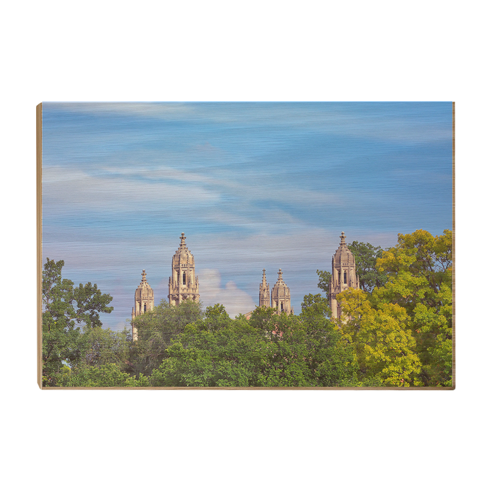 Washington University Bears - The Skyline - College Wall Art #Canvas