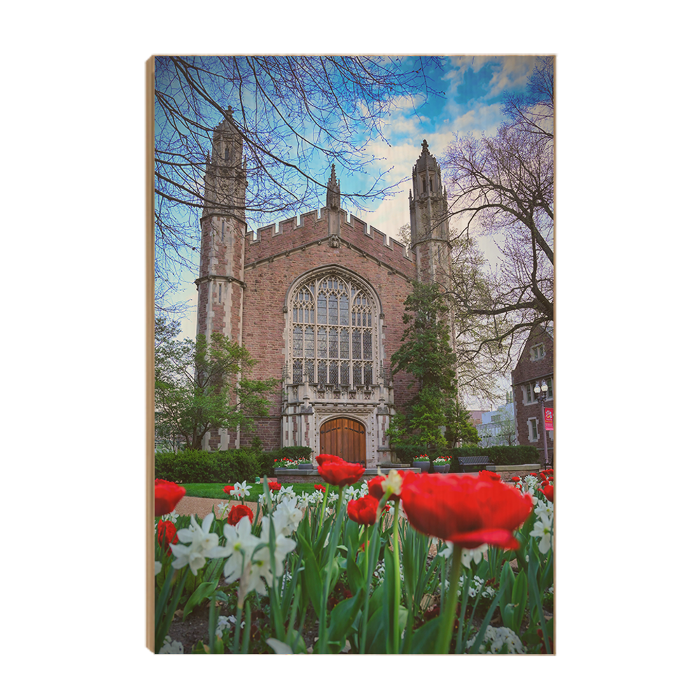 Washington University Bears - Tulips - College Wall Art #Canvas