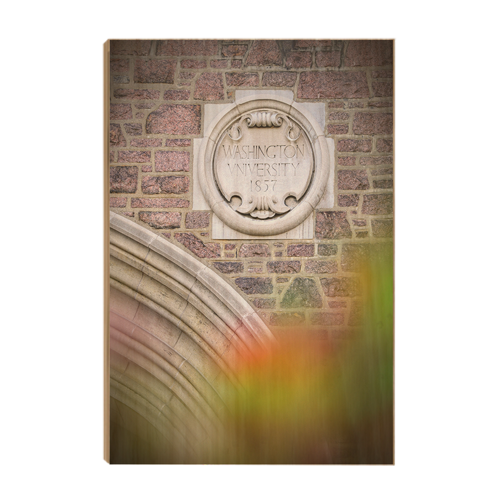 Washington University Bears - Washington University 1857 - College Wall Art #Canvas
