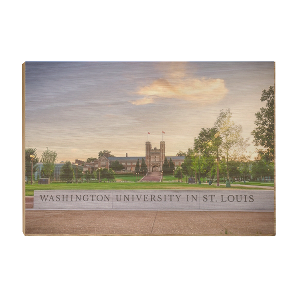 Washington University Bears - Washington University in St. Louis - College Wall Art #Canvas