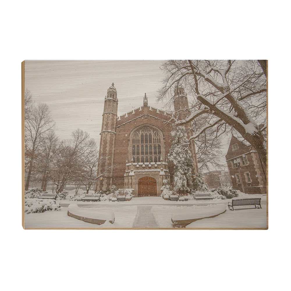 Washington University Bears - Winter Storm - College Wall Art #Canvas