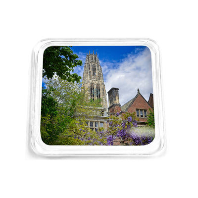 Yale Bulldogs - Springtime Harkness Tower Drink Coaster