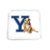 Yale Bulldogs - Yale Handsome Dan Drink Coaster