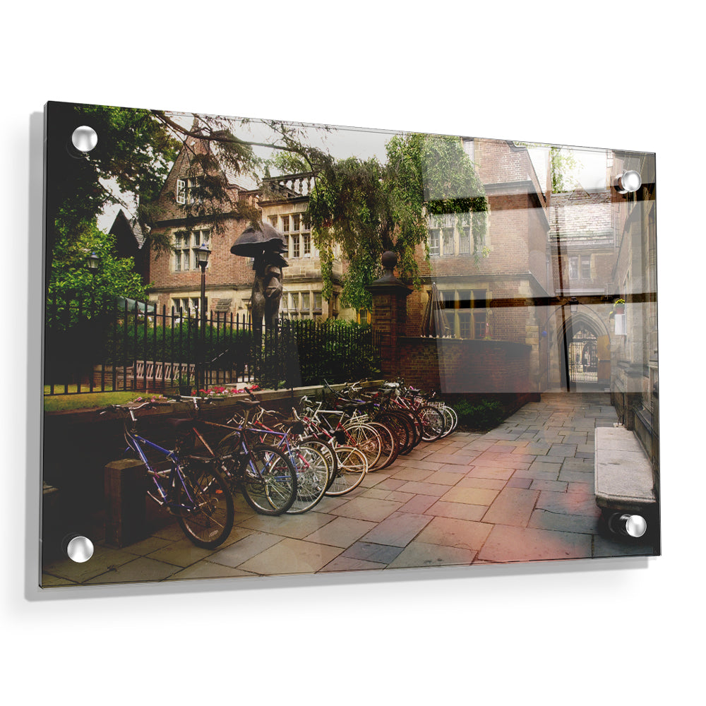 Yale Bulldogs - Bikes on Campus - College Wall Art #Canvas