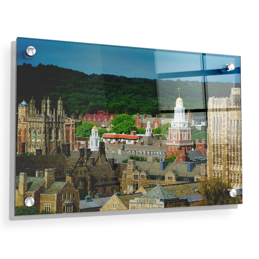 Yale Bulldogs - Yale Campus -College Wall  Art #Canvas