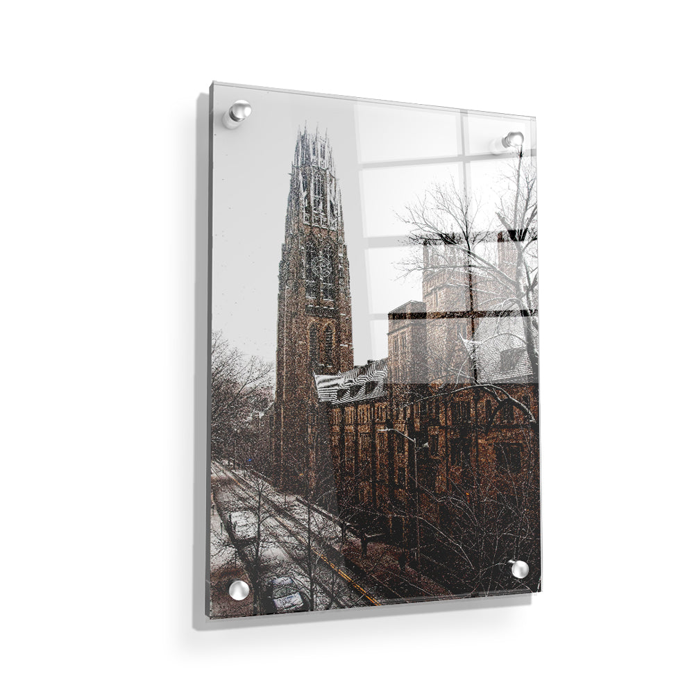 Yale Bulldogs - Harkness Winter -College Wall Art #Canvas