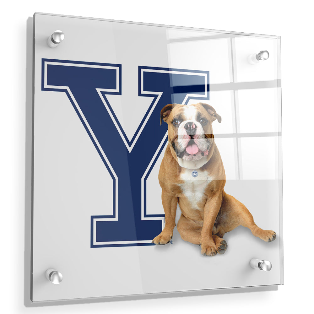 Yale Bulldogs - Yale Handsome Dan #Canvas