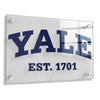 Yale Bulldogs - Yale established 1701 #Acrylic