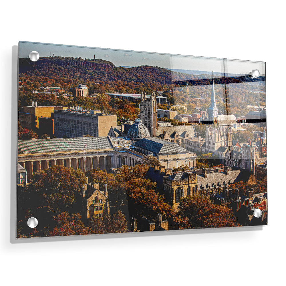 Yale Bulldogs - Yale Autumn Aerial #Canvas
