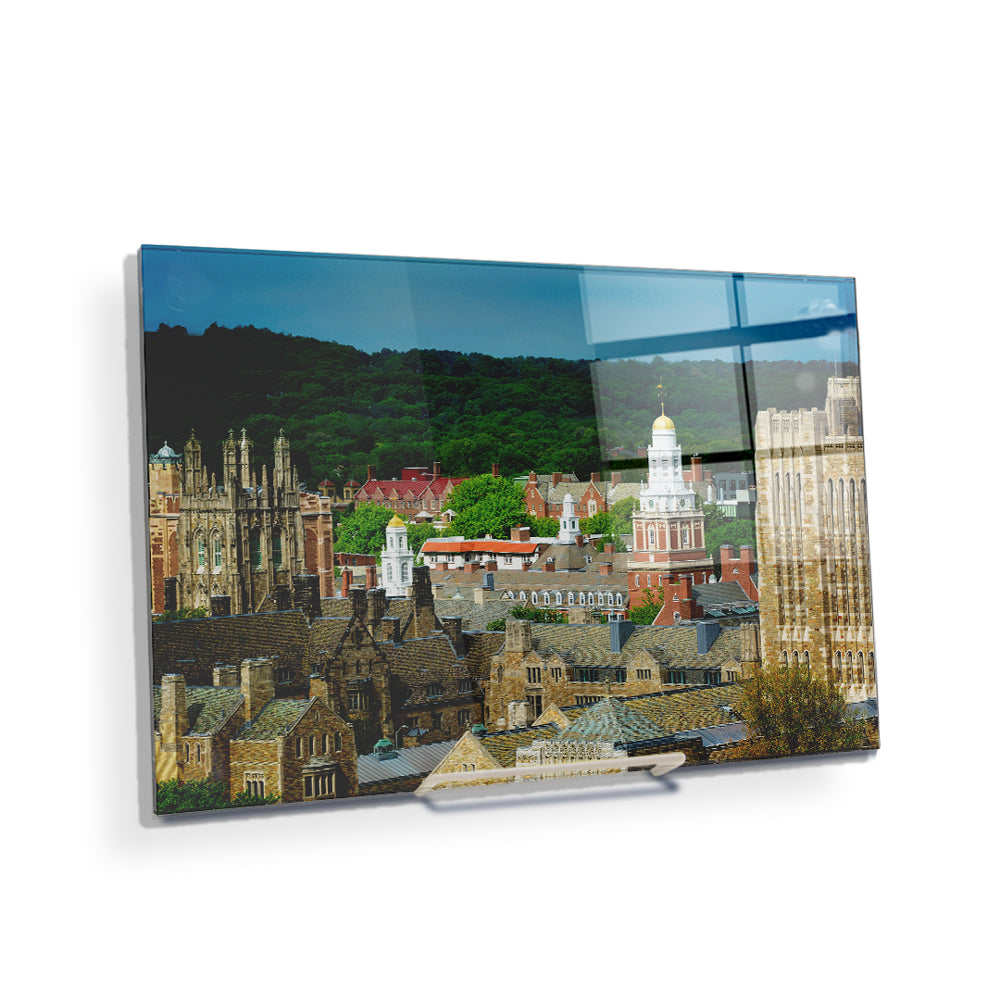 Yale Bulldogs - Yale Campus -College Wall  Art #Canvas