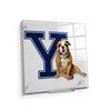 Yale Bulldogs - Yale Handsome Dan #Acrylic Mini