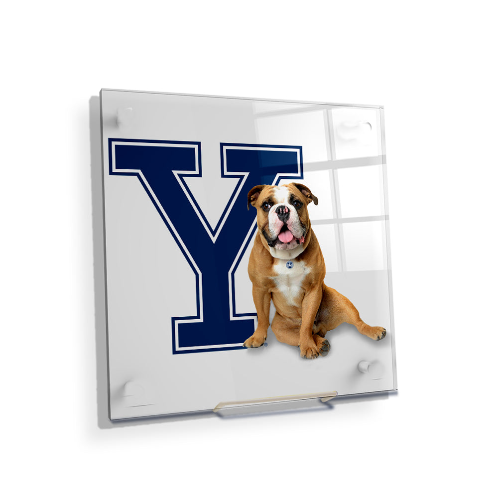 Yale Bulldogs - Yale Handsome Dan #Canvas