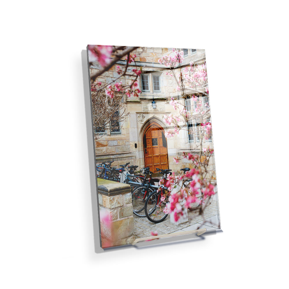 Yale Bulldogs - Saybrook College Spring Flowers #Canvas