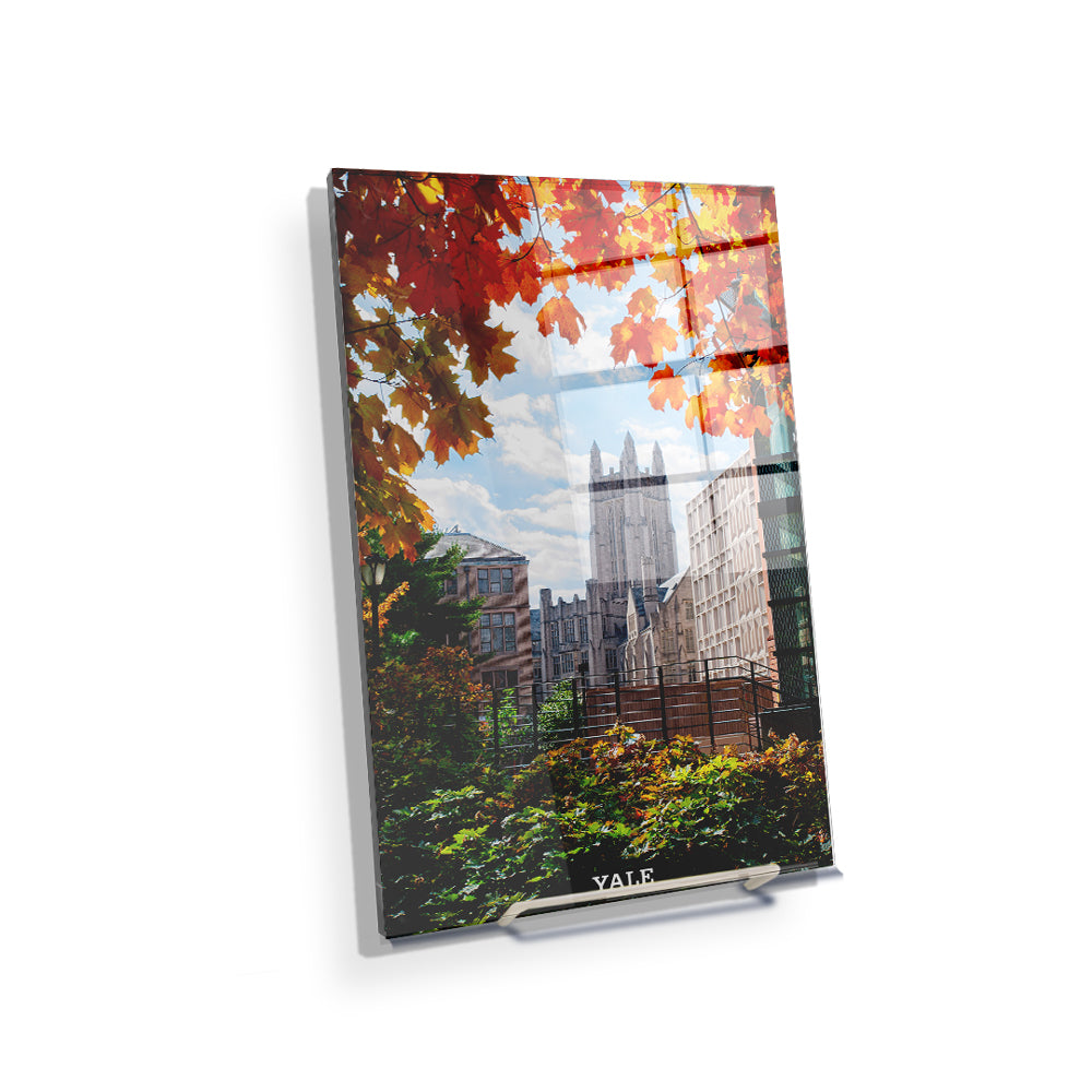 Yale Bulldogs - Sheffield-Sterling-Strathcona Hall Fall #Canvas