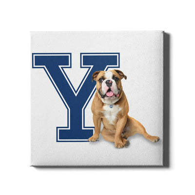 Yale Bulldogs - Yale Handsome Dan #Canvas