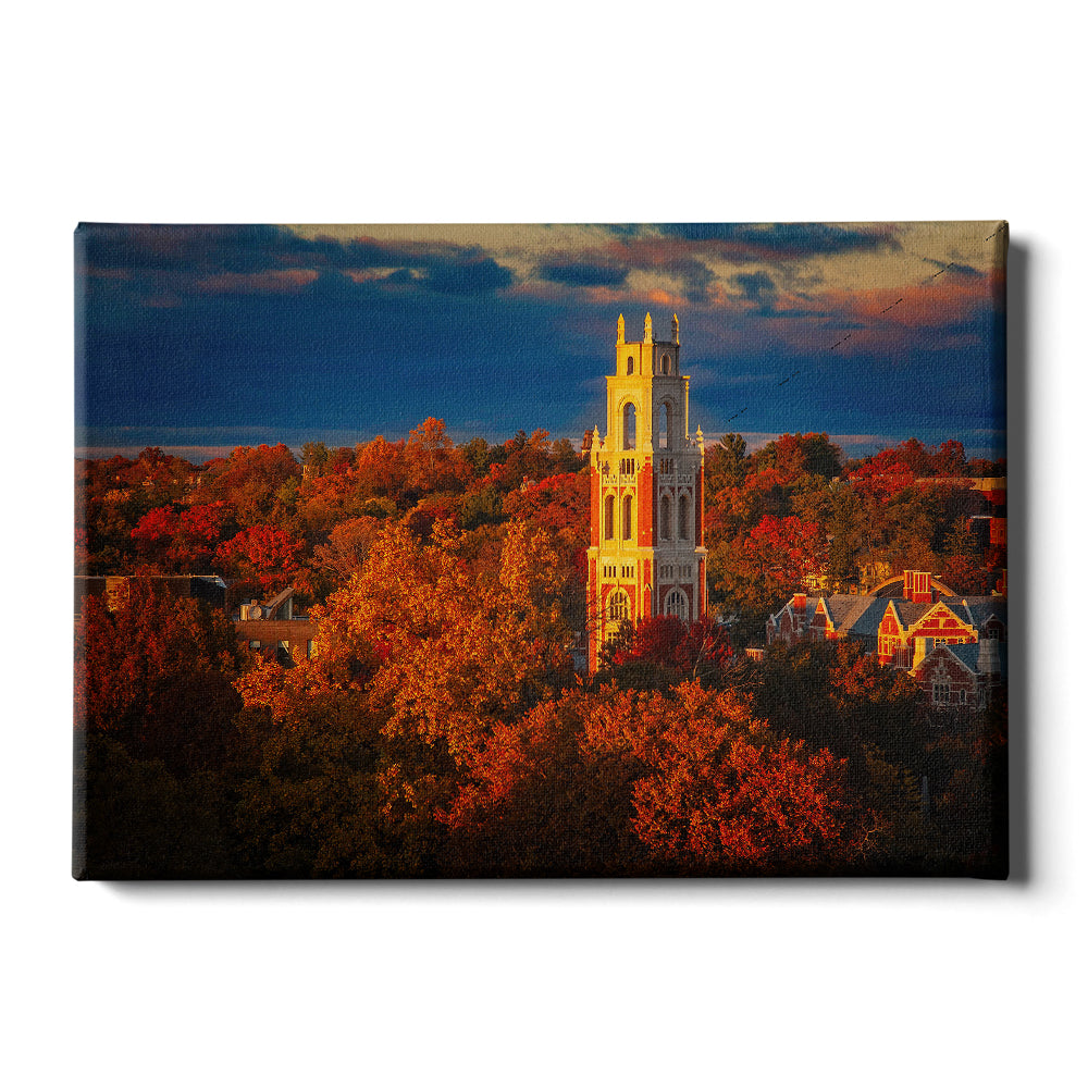 Yale Bulldogs - Fall Franklin Tower #Canvas
