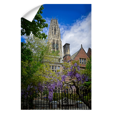 Yale Bulldogs - Springtime Harkness Tower - College Wall Art #Wall Decal