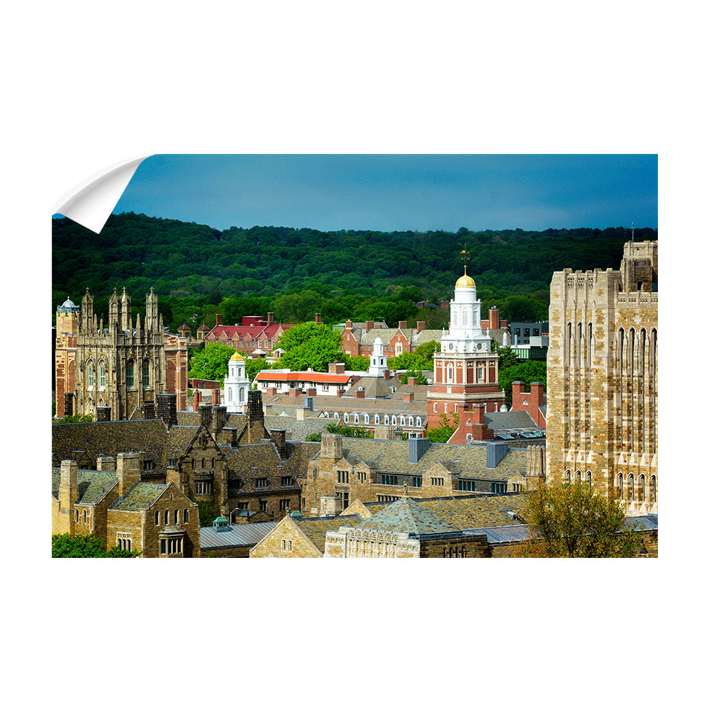 Yale Bulldogs - Yale Campus -College Wall  Art #Canvas